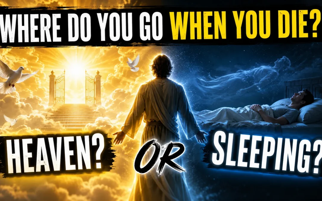 Where Do You Go When You Die
