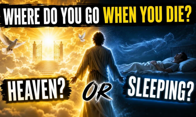 Where Do You Go When You Die